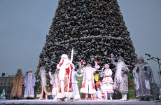 В Пензе состоялся праздник «Чудеса новогодних огней»
