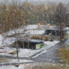 Какая погода ожидает жителей Пензенской области 20 декабря? 