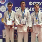 Пензенцы завоевали 7 медалей на всероссийском турнире по всестилевому каратэ