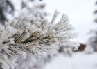 Пензенцев предупреждают о 30-градусном морозе 23 декабря