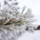 Пензенцев предупреждают о 30-градусном морозе 23 декабря