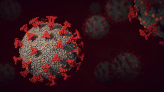 За сутки в Пензенской области выявили 303 случая коронавируса