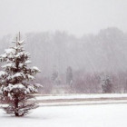 В субботу Пензенскую область накроют метель и сильный снегопад