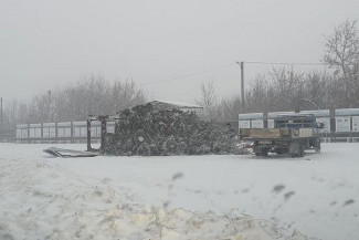 В райцентре Пензенской области ветер повалил праздничную елку