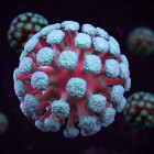 За сутки в Пензенской области выявили 273 случая коронавируса
