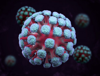 За сутки в Пензенской области выявили 273 случая коронавируса