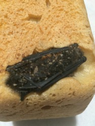 Буханка с начинкой: девушка нашла в купленном хлебе летучую мышь