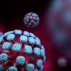 За сутки в Пензенской области выявили 262 случая коронавируса