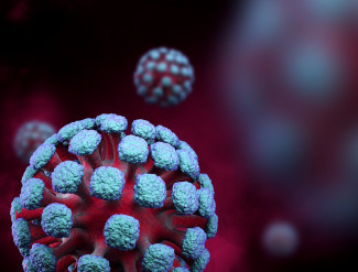 За сутки в Пензенской области выявили 262 случая коронавируса