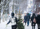 Какая погода ожидается в Пензенской области в канун Нового года?