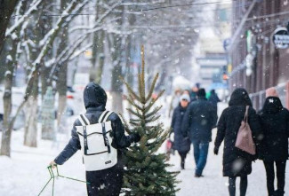 Какая погода ожидается в Пензенской области в канун Нового года?