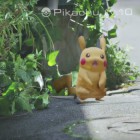 Опасная Pokemon Go: игроки нашли труп, попали в аварию и были ограблены