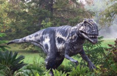 В Пензе могут найти останки редких динозавров