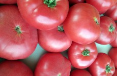 В Пензе появится больше томатов из-за антитурецких санкций 