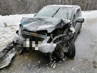 Ребёнок и мать погибли в ДТП на пензенской трассе