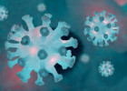 За сутки в Пензенской области выявили 167 случаев коронавируса