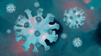 За сутки в Пензенской области выявили 167 случаев коронавируса