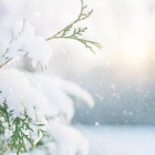 Какая погода ожидается в Пензенской области 10 января?