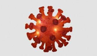 За сутки в Пензенской области выявили 163 случая коронавируса