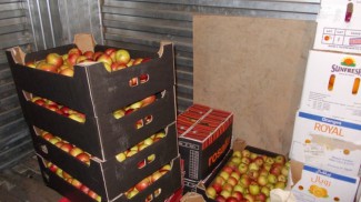 В Пензе изъяли 3 тонны санкционных фруктов и овощей