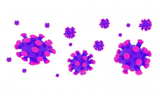 В Пензенской области за сутки выявили 161 случай коронавируса