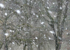 Завтра в Пензенской области продолжится мощный снегопад