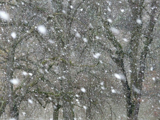 Завтра в Пензенской области продолжится мощный снегопад