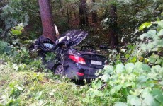 В Пензе водитель автомобиля погиб, врезавшись в дерево
