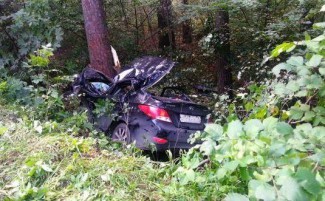 В Пензе водитель автомобиля погиб, врезавшись в дерево