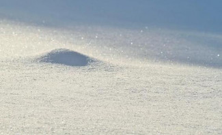 За неделю жители Пензенской области около 400 раз пожаловались на уборку снега