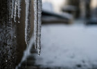 Нулевая температура и мокрый снег ожидаются в Пензенской области 19 января