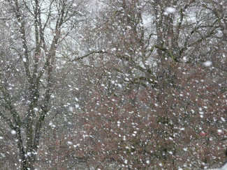 Пензенцев предупреждают о ветре, метели и сильном снегопаде 22 января