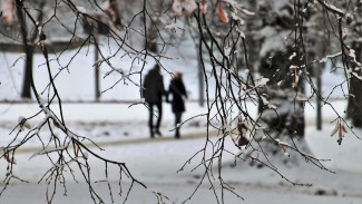 Пензенцев предупреждают о снеге и тумане 23 января