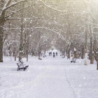 Какая погода ожидается в Пензенской области 29 января?