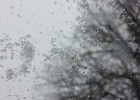 Какая погода ожидается в Пензенской области 31 января?