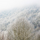В Пензенской области прогнозируется туман с видимостью до 500 метров