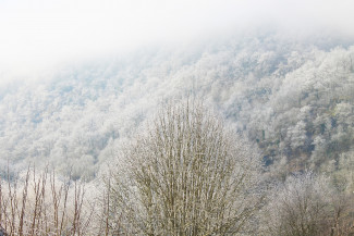 В Пензенской области прогнозируется туман с видимостью до 500 метров