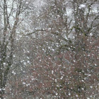 В Пензе введен режим повышенной готовности из-за снегопада