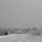 Какая погода ожидается в Пензенской области 11 февраля?