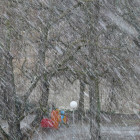 Завтра на Пензенскую область вновь обрушится мощный снегопад