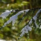 Перепад температуры в 19 градусов ожидается в Пензе и области 17 февраля