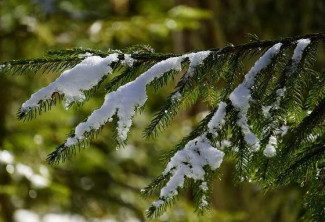 Перепад температуры в 19 градусов ожидается в Пензе и области 17 февраля