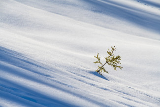 В Пензенской области ввели режим повышенной готовности из-за снегопада