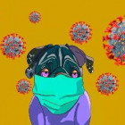 В Пензенской области за сутки выявили 1681 новый случай коронавируса