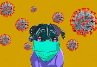 В Пензенской области за сутки выявили 1681 новый случай коронавируса