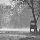 Пензенцев предупреждают о тумане и мокром снеге 3 марта