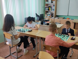 Среди школьников Железнодорожного района Пензы выявили лучших шахматистов