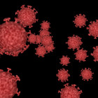 В Пензенской области за сутки выявили 539 новых случаев коронавируса
