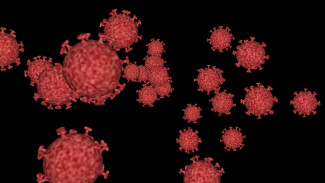 В Пензенской области за сутки выявили 539 новых случаев коронавируса