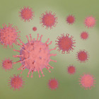 В Пензенской области за сутки выявили 382 новых случая коронавируса